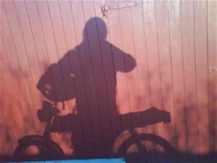 Mand Daniel jensen billede 4