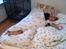Kvinde Mette Kathrine - Putter med Nadinas hunde.