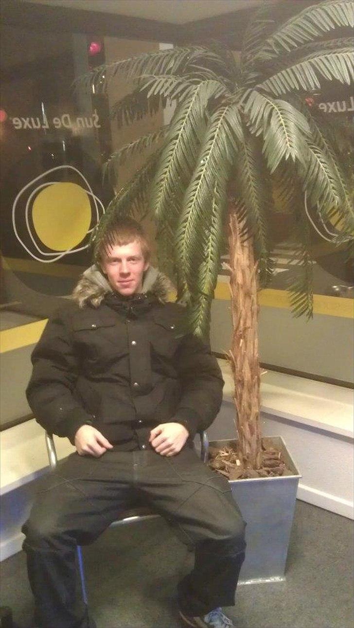 Mand mike øgelund billede 13