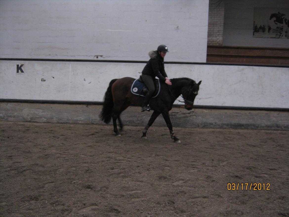 Kvinde Susanne  billede 5