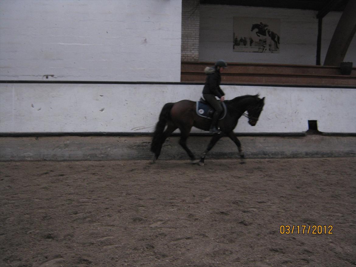 Kvinde Susanne  billede 6