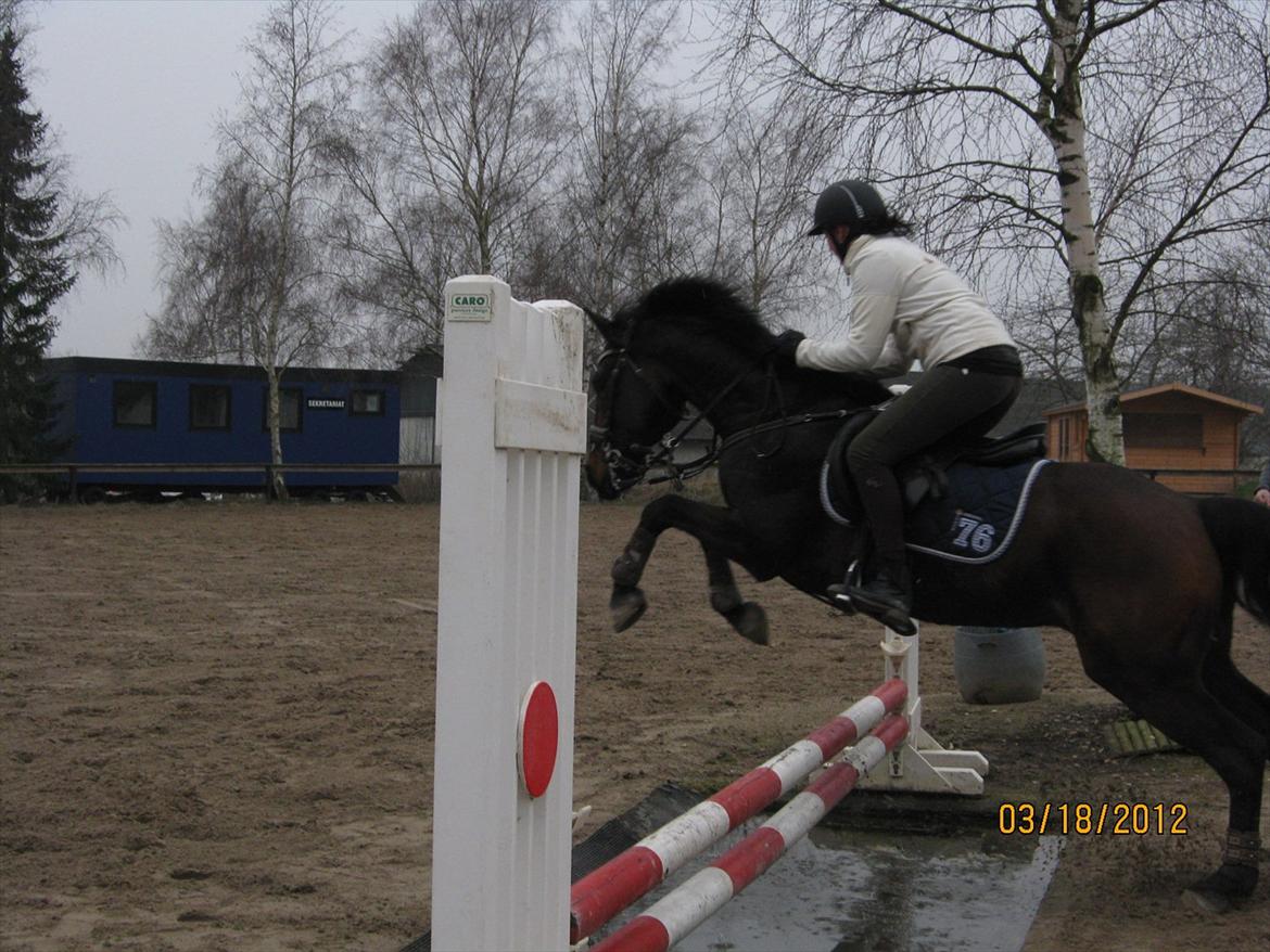 Kvinde Susanne  billede 7