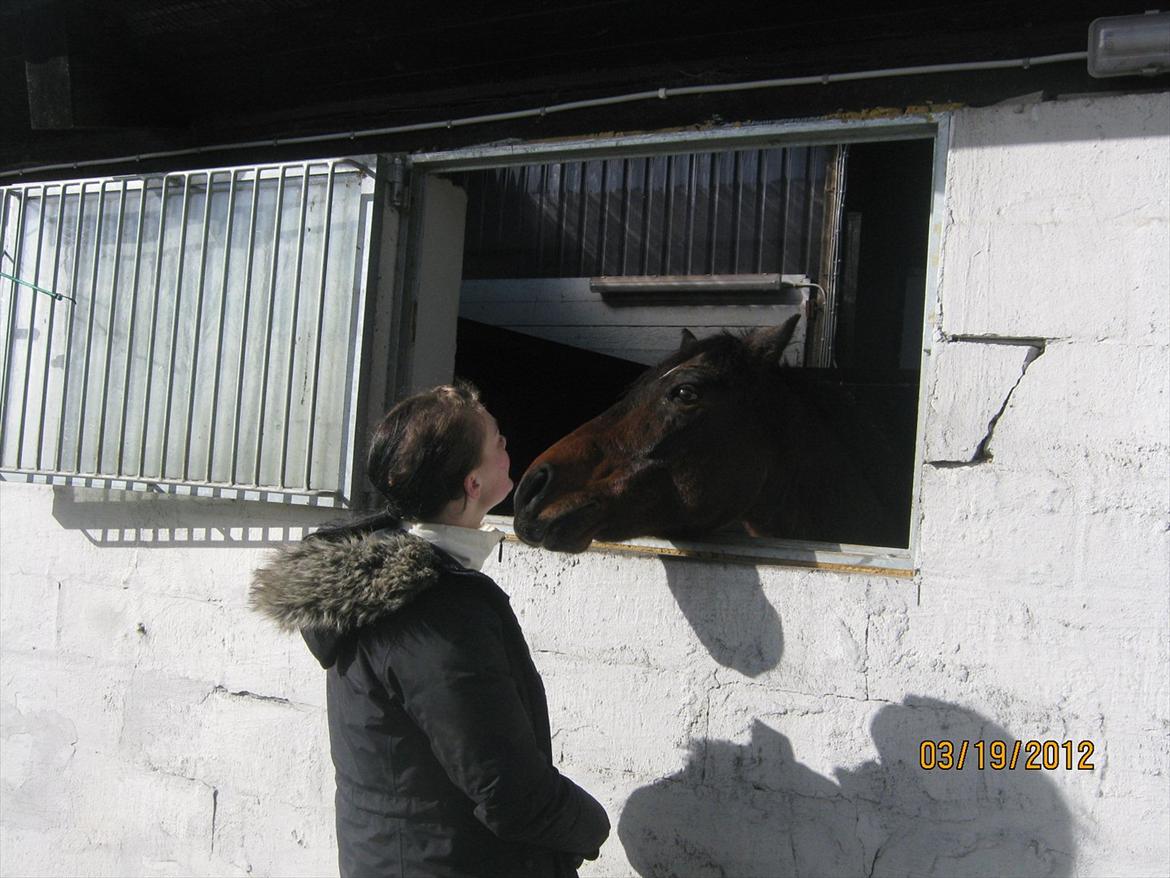 Kvinde Susanne  billede 8