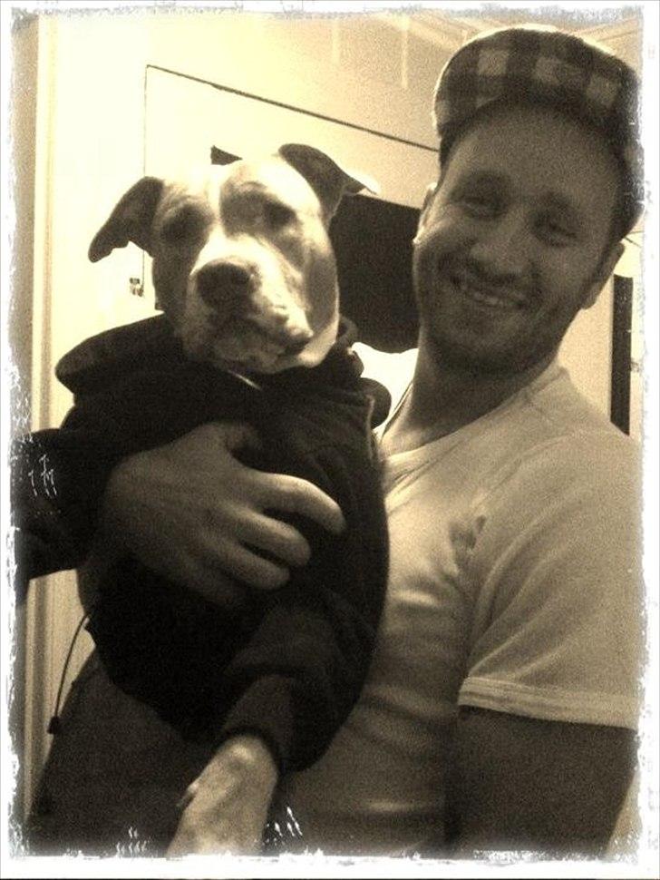 Mand Martin billede 6