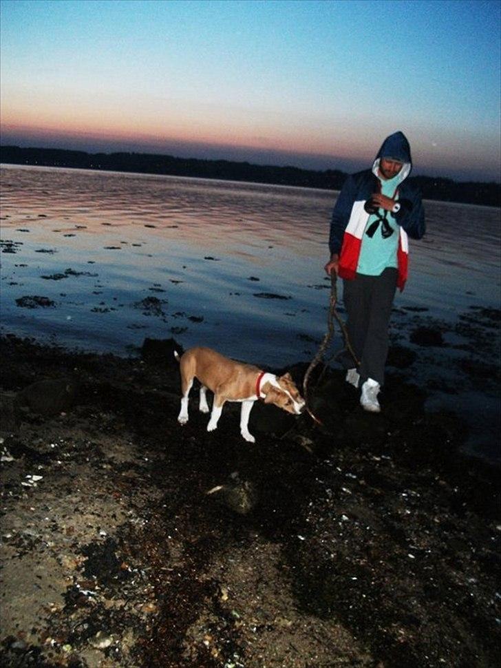 Mand Martin billede 7