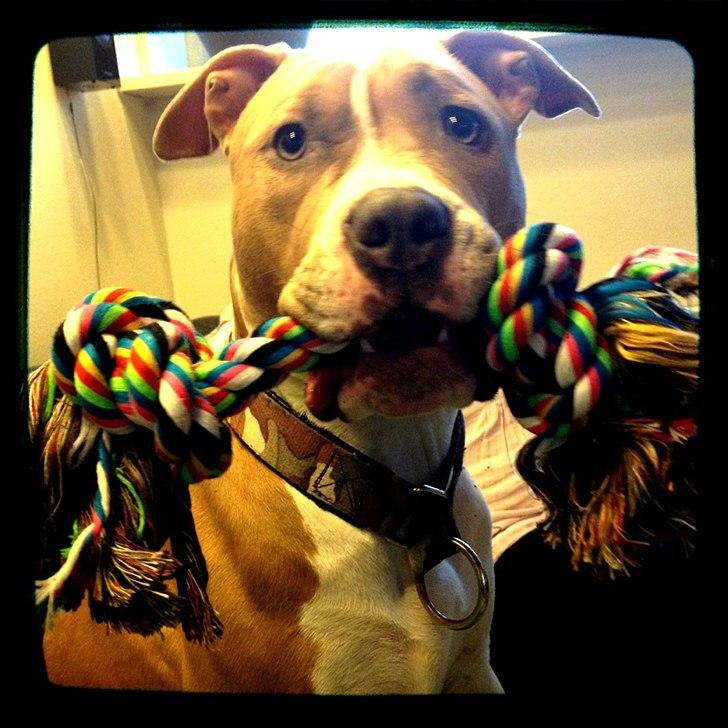 Mand Martin billede 10