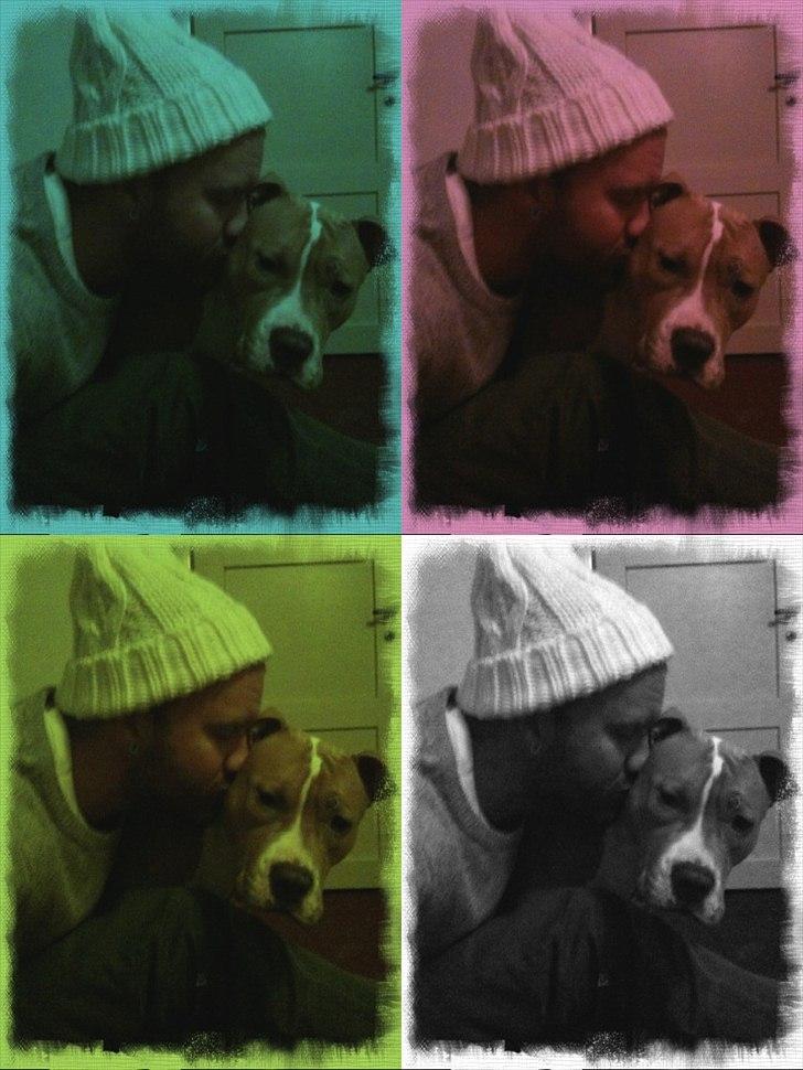 Mand Martin billede 11