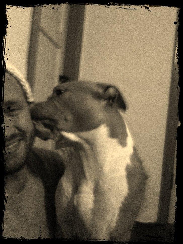 Mand Martin billede 12