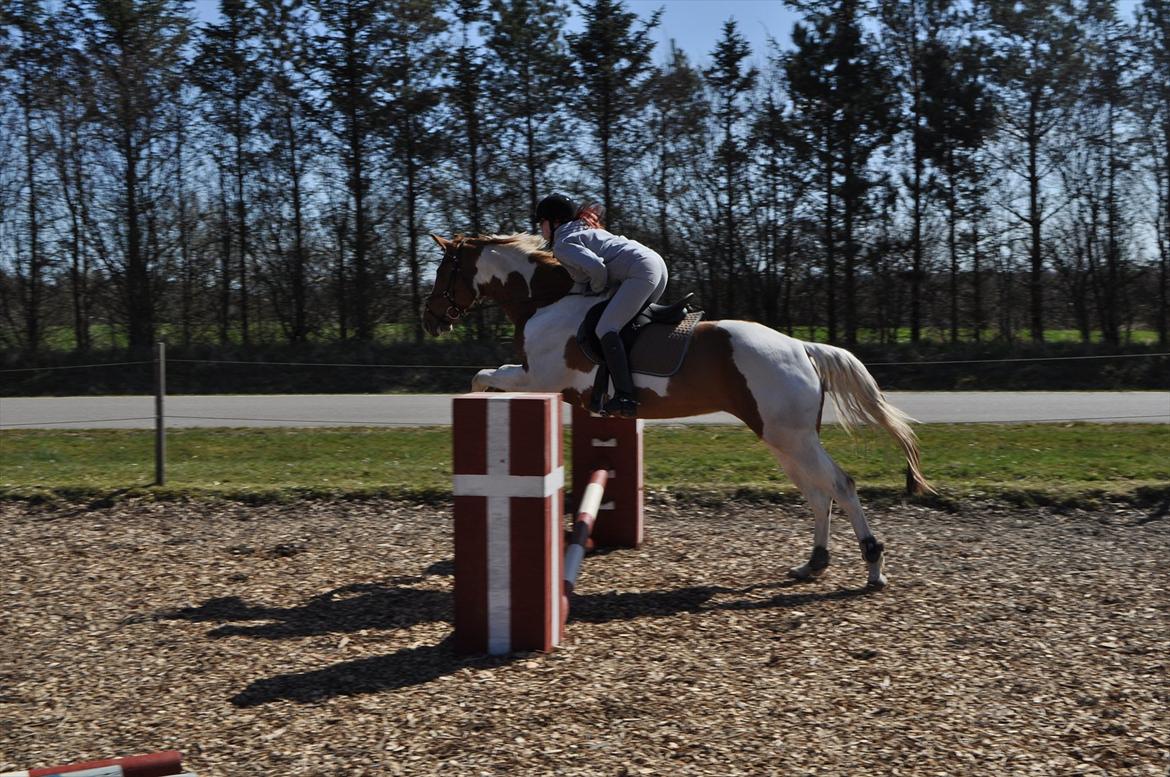 Kvinde Yankee aka Katja - Ja ja spring er sagen :-) Billede fra d. 15/04-12 billede 23