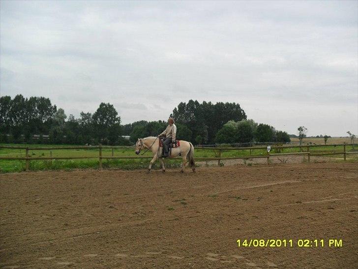 Kvinde Britta - Min mor på min hest, Eddie billede 5