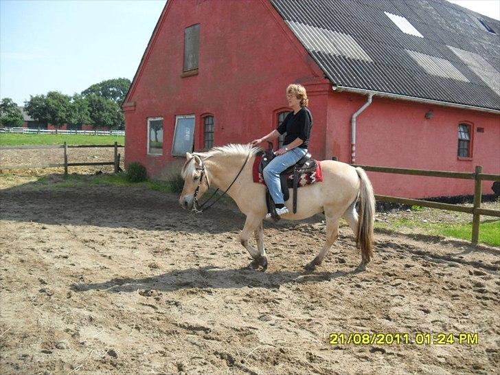 Kvinde Britta - Min mor på min hest, Eddie billede 6