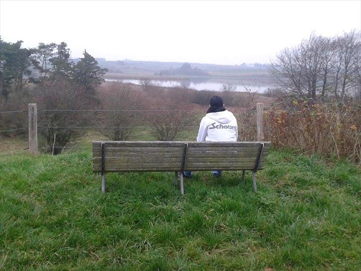 Mand st - frihed !!! billede 2