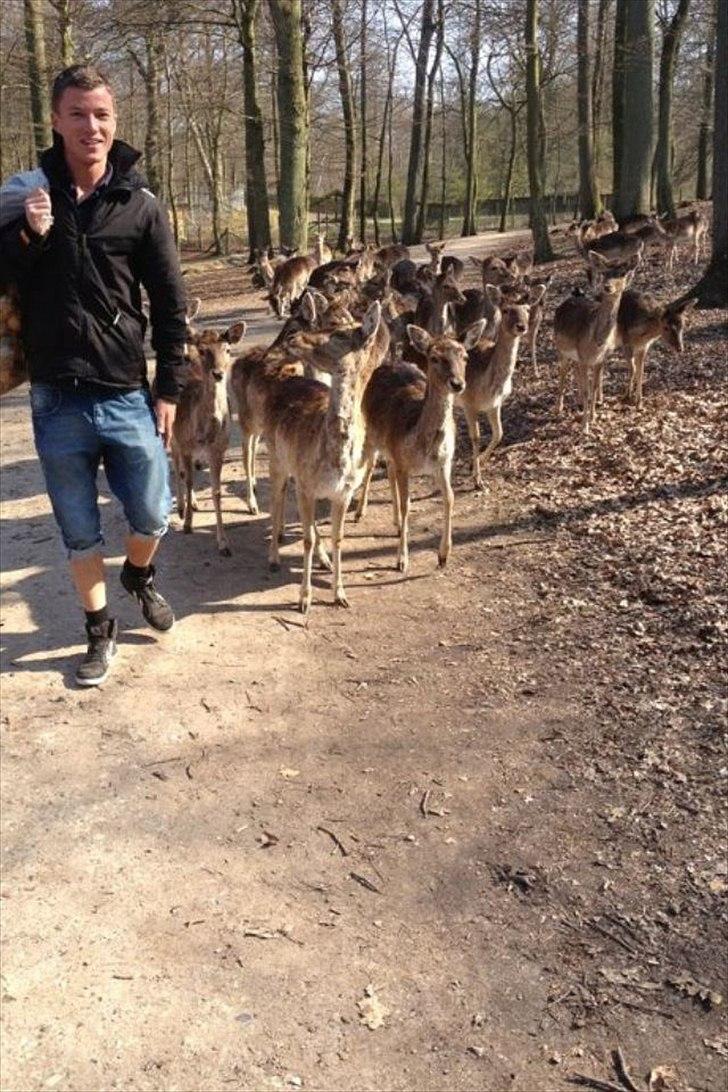 Mand simon s - husk vi er gode mod dyr  billede 15