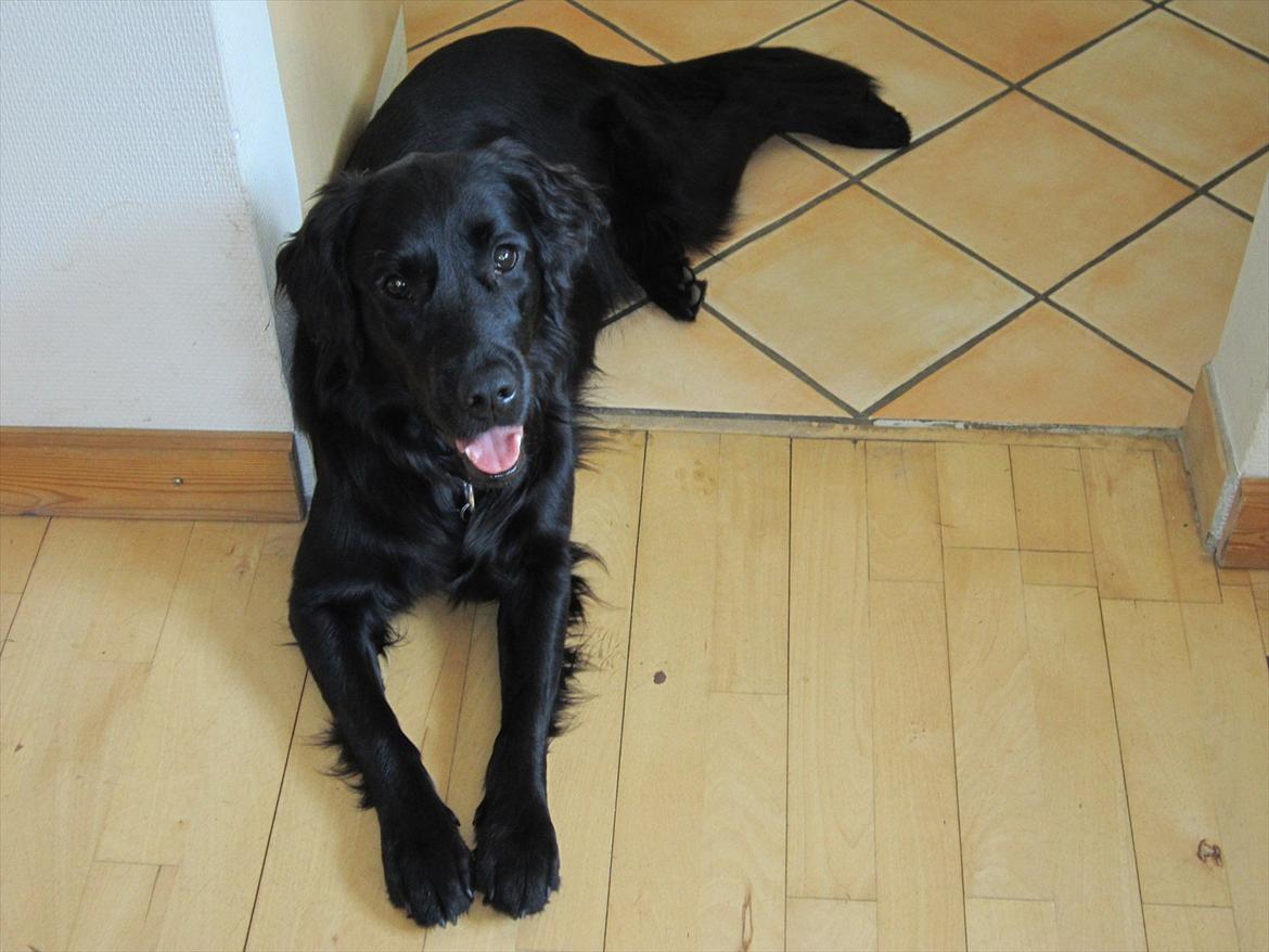 Kvinde Lucky billede 11