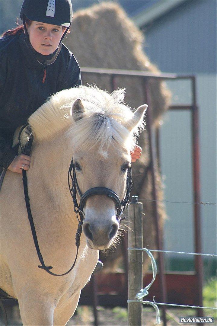 Kvinde Katrine - Mig og min tild. hest.

Savner hverdagen med dig! billede 3