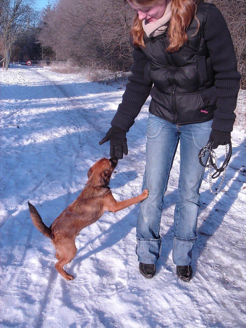 Kvinde Nina kære Nina - Venindes lille larmetrold, Feike tigger kiks ved "tante" Nina =) billede 9