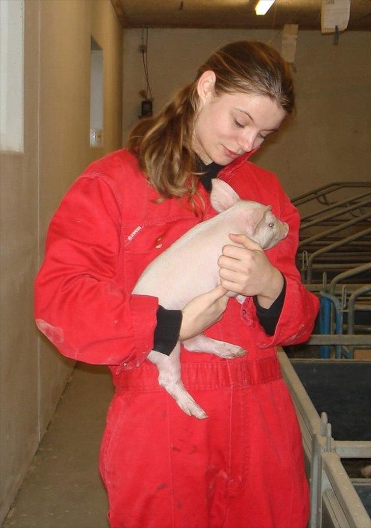 Kvinde Nina kære Nina - På bondegårdsbesøg! Babygrise er nu søde <3 billede 11