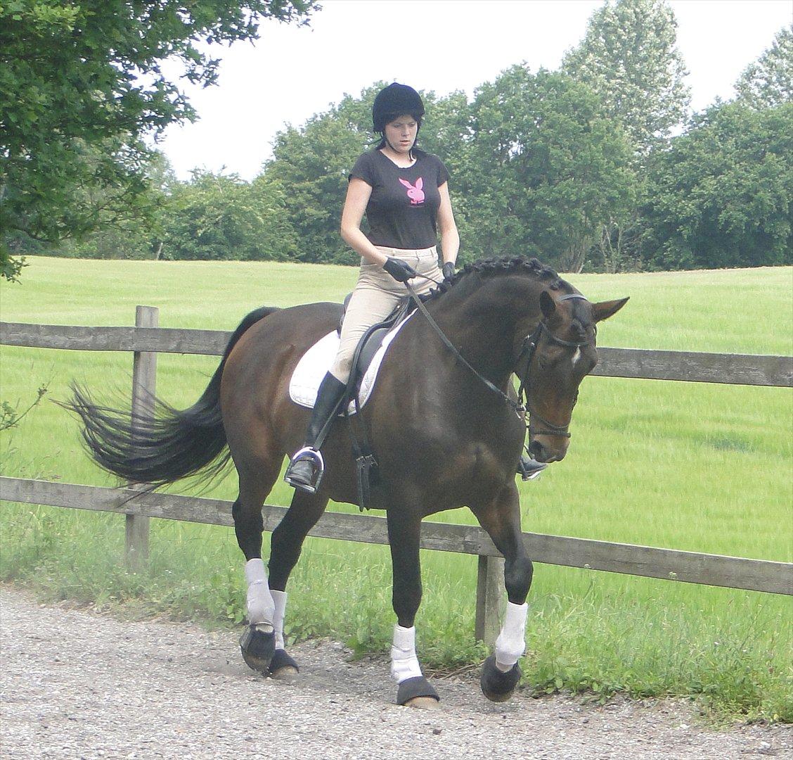 Kvinde Winni  - Smukke Zeline <3  billede 10