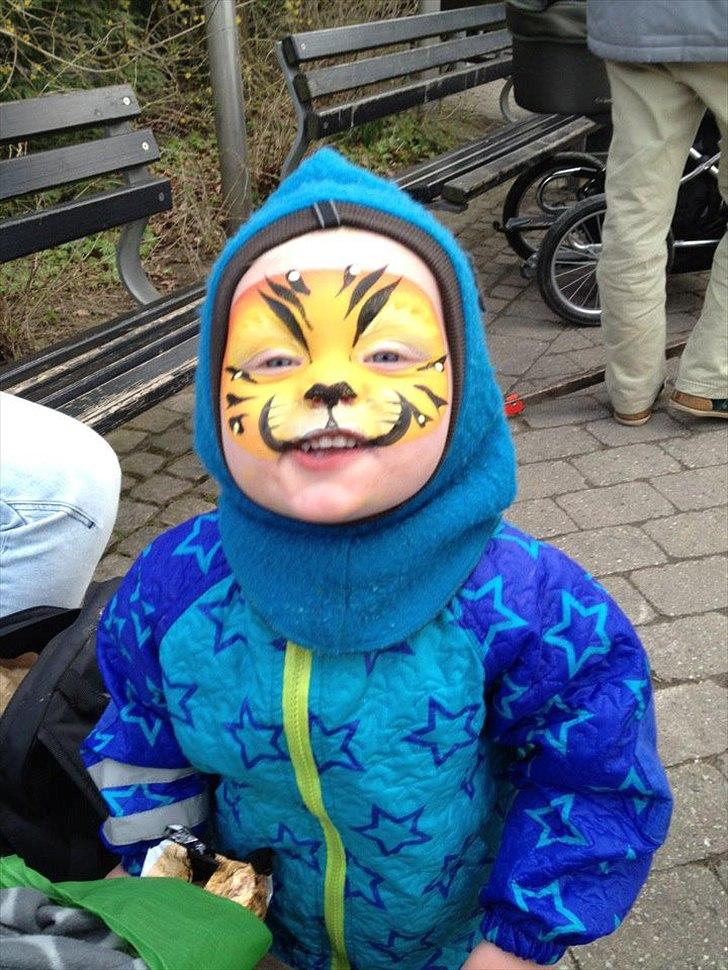 Mand Mikkel Sztuk - Min fine søn i zoologisk have billede 5