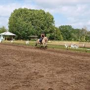 Kvinde Kristine B. Larsen