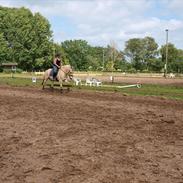 Kvinde Kristine B. Larsen