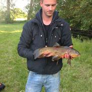 Mand Kasper