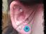 Kvinde Tanja-Victoria - Piercings inkl. 6,5 mm stretch. Alt hjemmelavet.