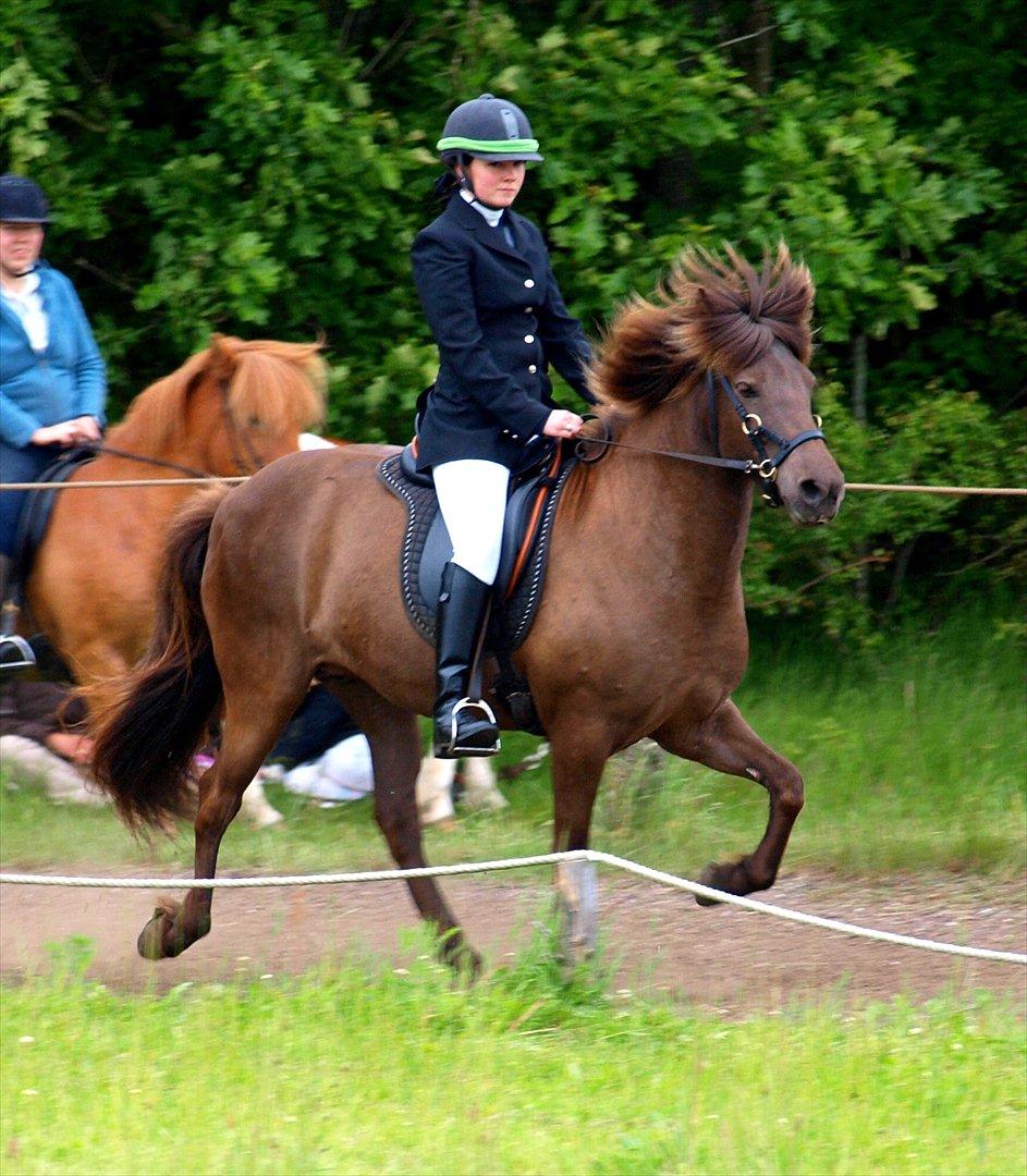Kvinde Julie Kit - Til stævne med min gamle hest. billede 14