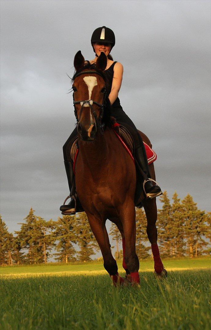 Kvinde Anja  billede 4