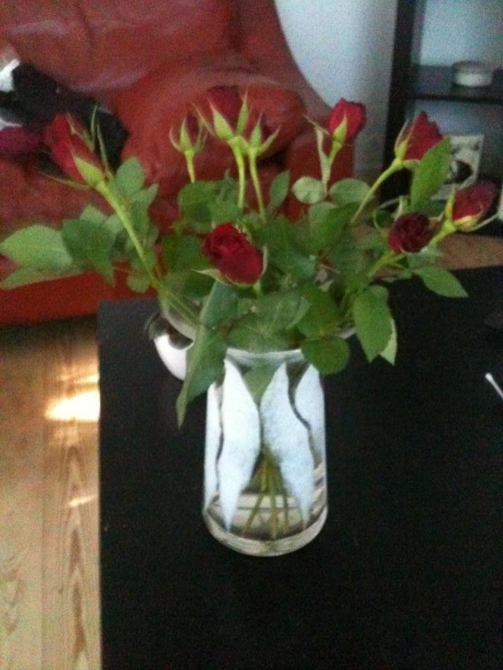 Kvinde Signe Krag billede 5