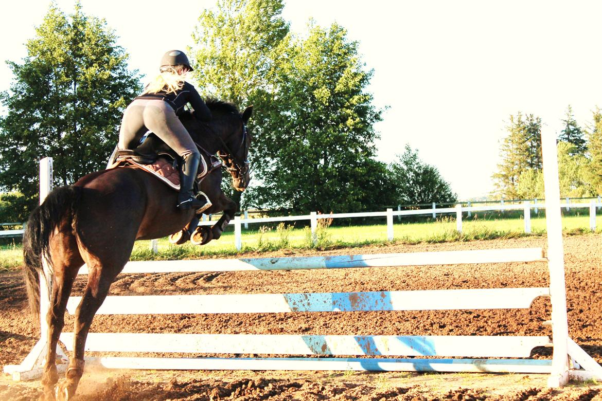 Kvinde Ditte - juni 2012 billede 12