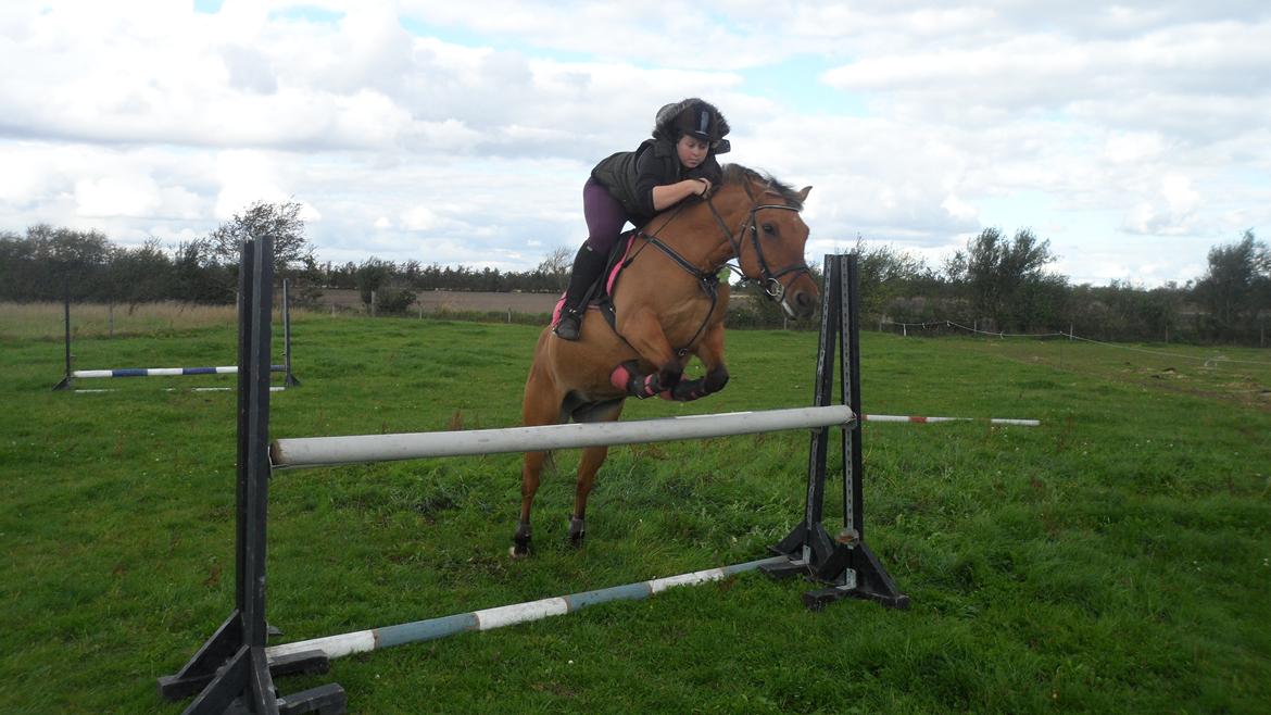 Kvinde Camilla Gubbi billede 12