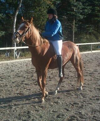 Kvinde Kirstine - Havde kun været oppe på hende 3 gange da jeg valgte at ride uden sadel :)  billede 17