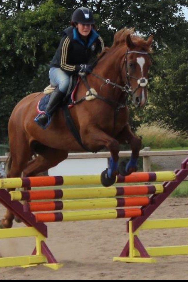 Kvinde Katrine billede 8