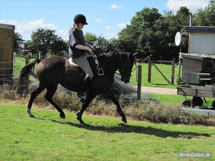 Kvinde Michelle ;* - Lady & Jeg ;* billede 6