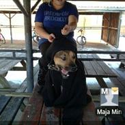 Kvinde Line Lykkegaard Sørensen ( blondineline<3 )