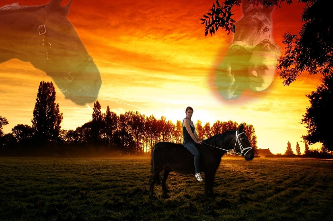 Kvinde connie billede 15