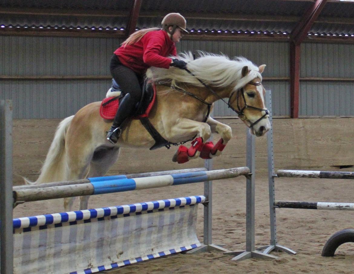 Kvinde *Mathilde Dybdal* billede 8