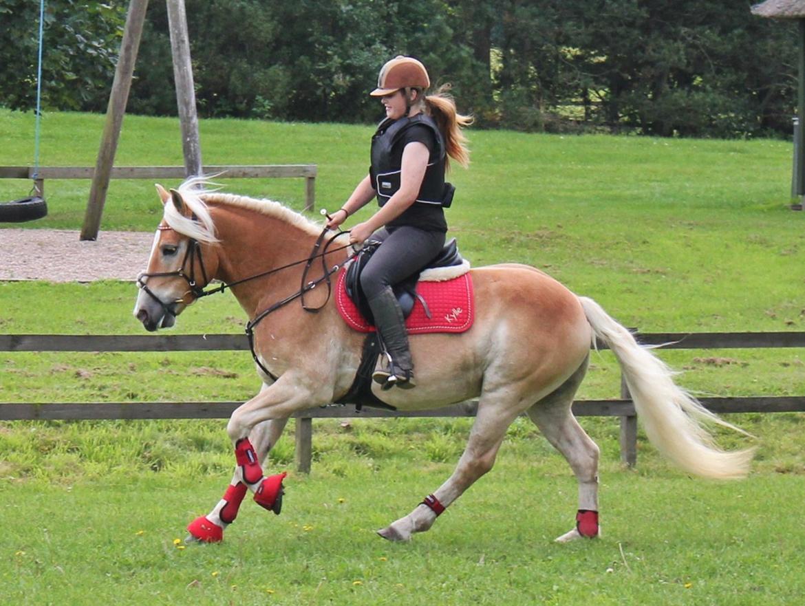 Kvinde *Mathilde Dybdal* billede 10