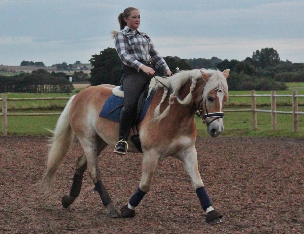 Kvinde *Mathilde Dybdal* billede 7