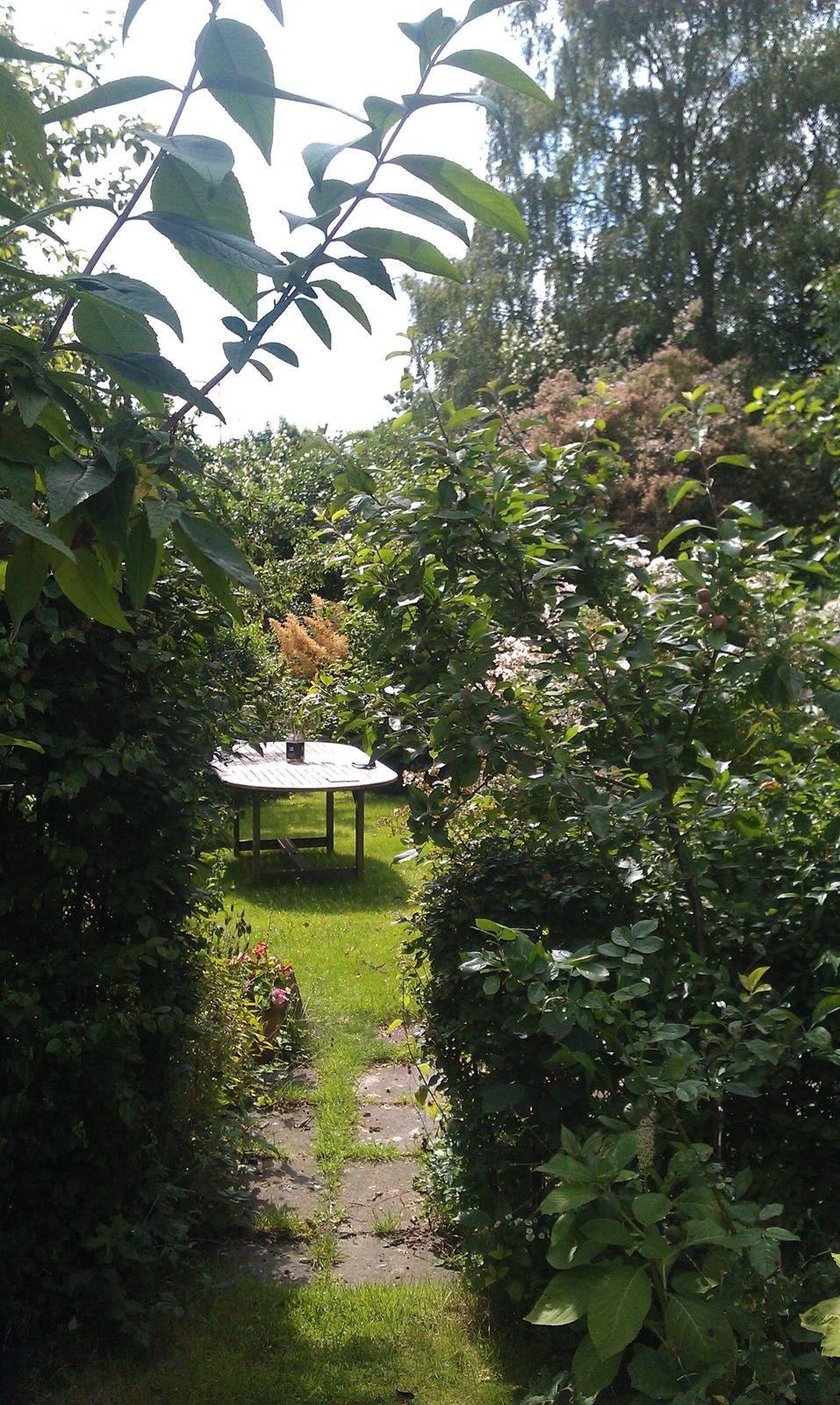 Mand Stig Colbjørn Nielsen - Hyggelig, lettere forvildet gammel have billede 7