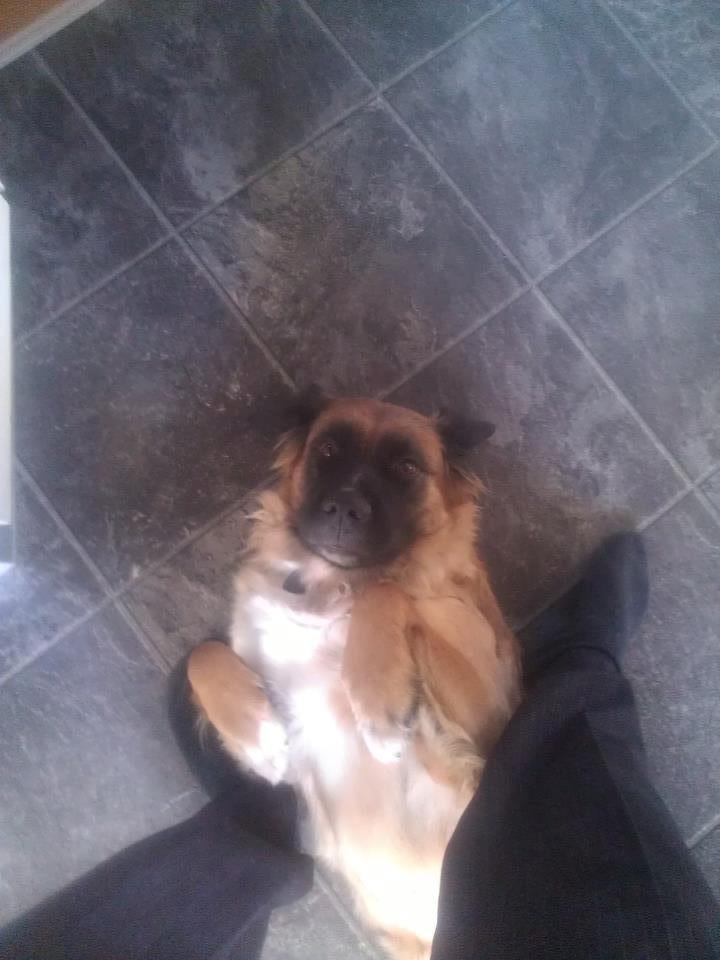 Mand Andreas Knudsen billede 6