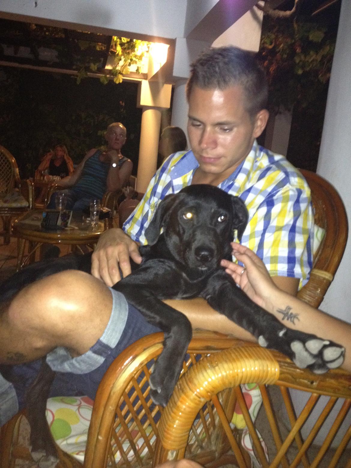 Mand Morten billede 5