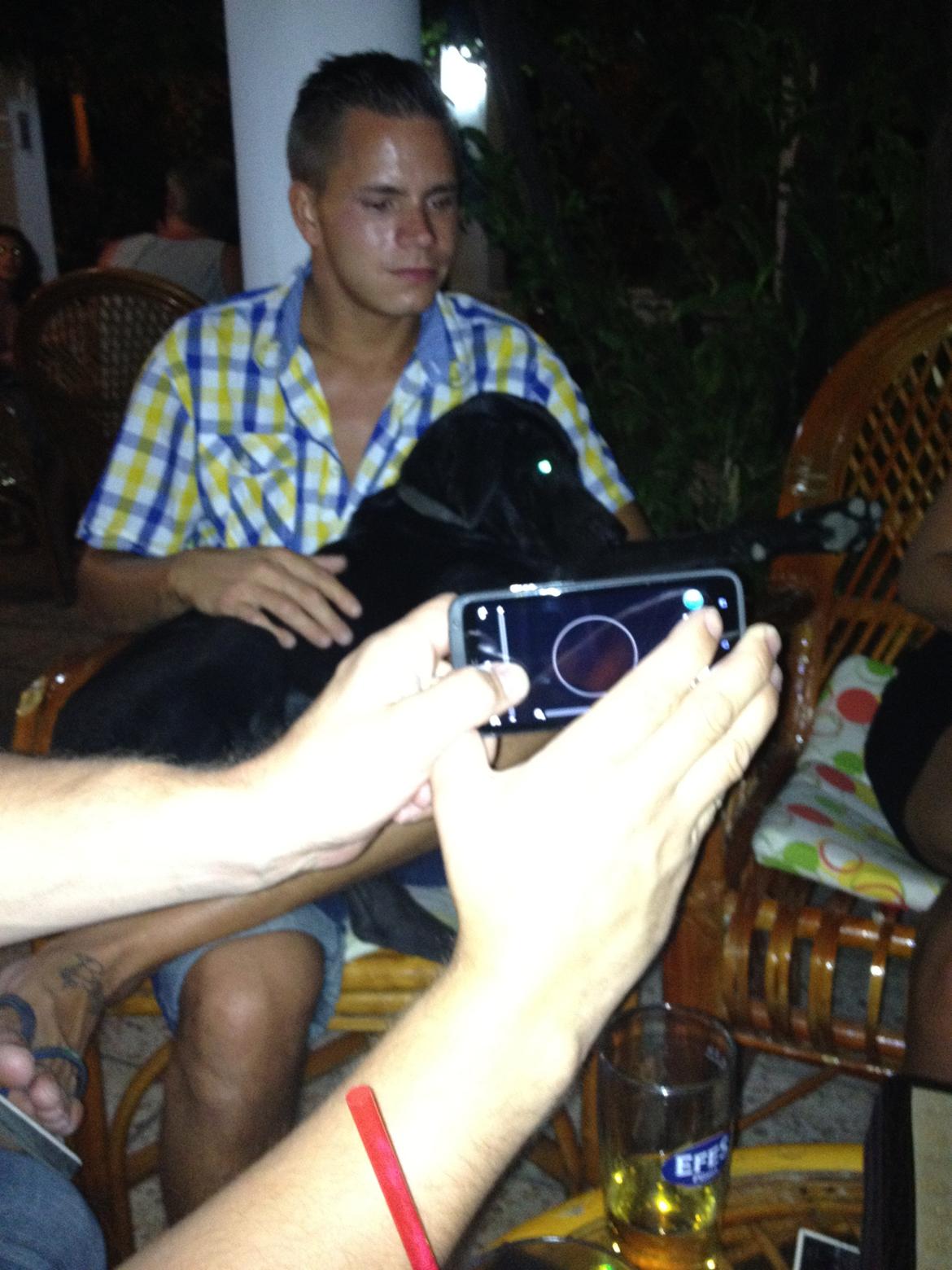 Mand Morten billede 6