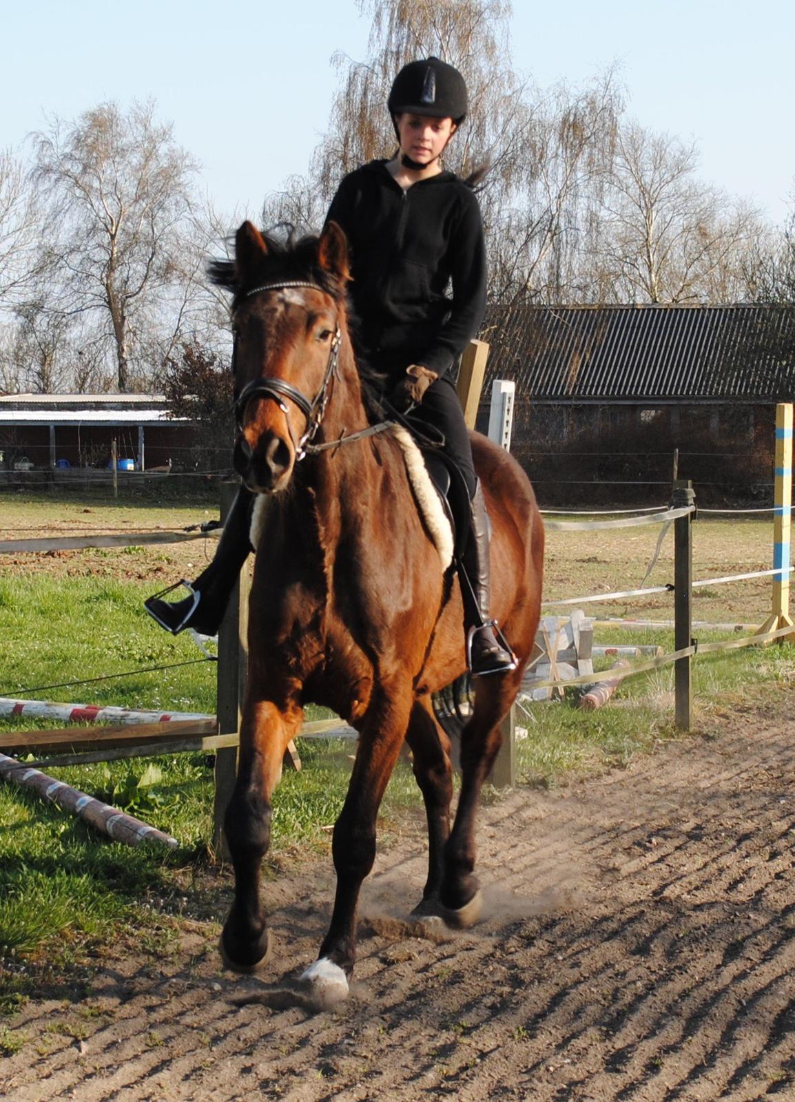 Kvinde Lærke - Når jeg sidder på den bare hesteryg, galoppere rundt, velvidende om at det er 500kg muskler der er under mig, og ville den, så kunne den ødelægge min krop, knuse mine knogler, sende mig væk herfra.
Men jeg stoler på den, stoler på at den vil passe på mig, billede 19