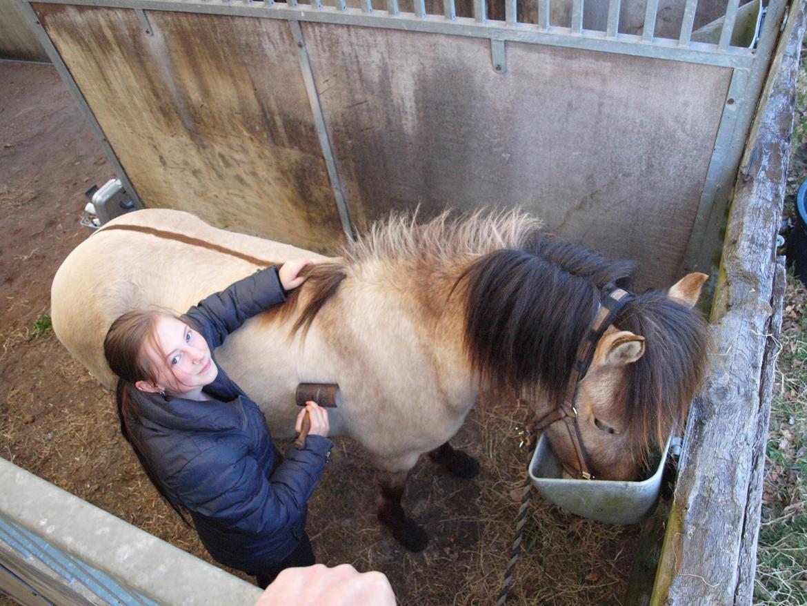 Kvinde Julie Kit - Hilling gøres klar til kåring. Og nej jeg har ingen makeup på. billede 20