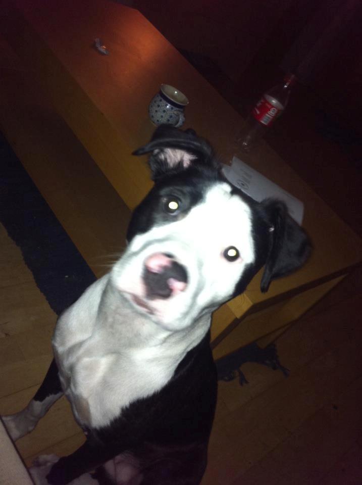 Mand mathias krog billede 10