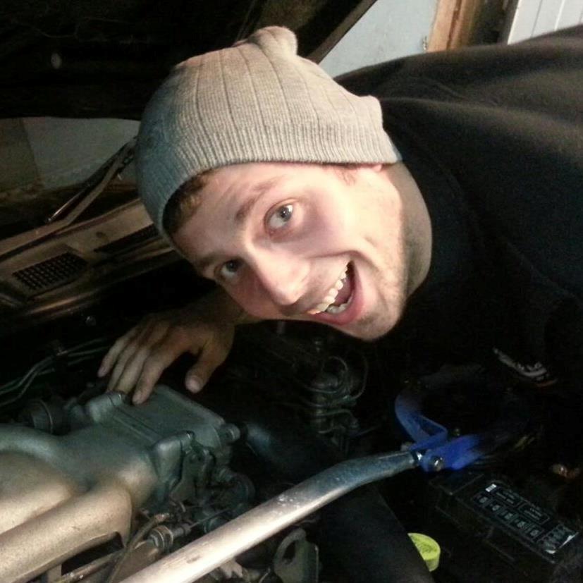 Mand Strandløven billede 8