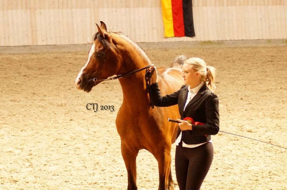 Kvinde Malene billede 4