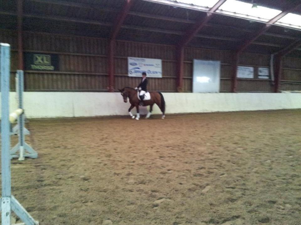 Kvinde Michelle  billede 16